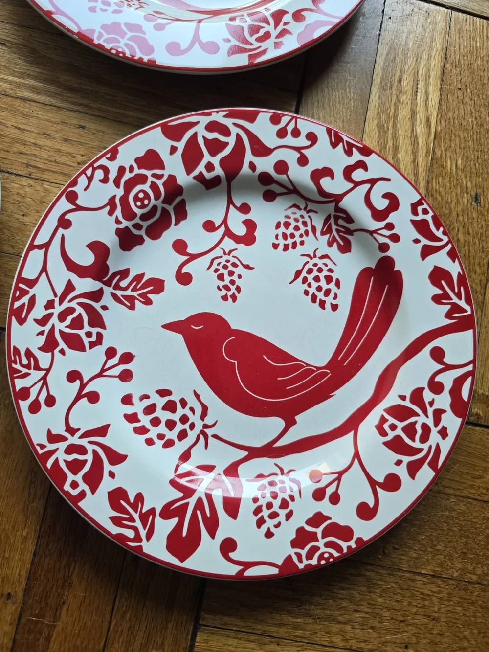 Pier 1 Salad Plates Birds Bird Red  8.25 Set of 5